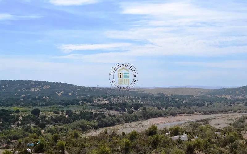 Vente - Maison de campagne - Mogador - 320 m² - 490000 € - Essaouira - 7671